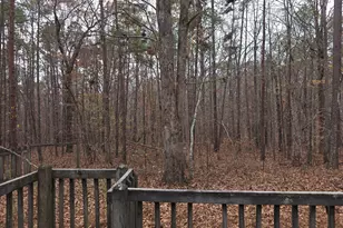 650 Wildcat Rd, Buchanan, GA 30113 - Photo 25