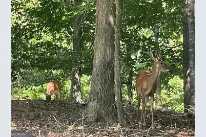 329 Greenleaf Drive, Lavonia, GA 30553 - Photo 45