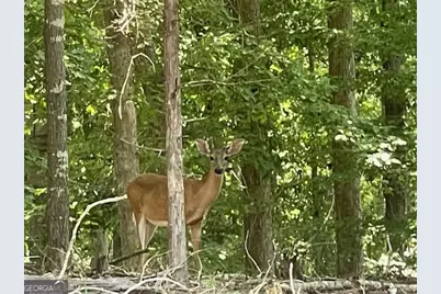 329 Greenleaf Drive, Lavonia, GA 30553 - Photo 47