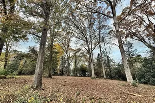 0 S Lee St, Forsyth, GA 31029 - Photo 1