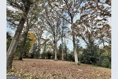 0 S Lee Street, Forsyth, GA 31029 - Photo 3