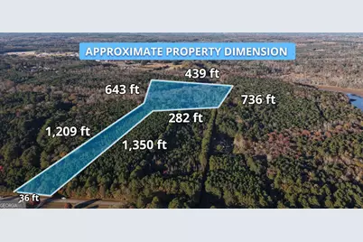 Lot #1 S Hampton Annex, Hampton, GA 30228 - Photo 1