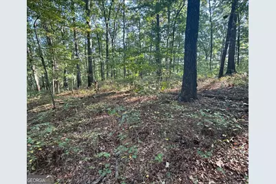 0 Turkey Court #LOT 42 &amp; 46, Waco, GA 30182 - Photo 7