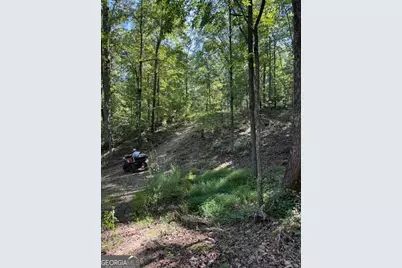 0 Turkey Court #LOT 42 &amp; 46, Waco, GA 30182 - Photo 5