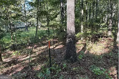 0 Turkey Court #LOT 42 &amp; 46, Waco, GA 30182 - Photo 1