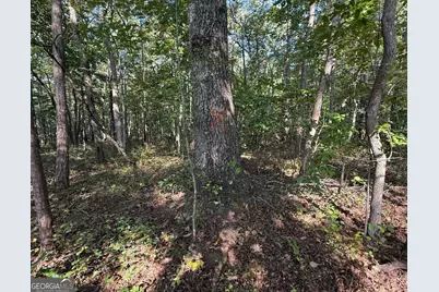 0 Turkey Court #LOT 42 &amp; 46, Waco, GA 30182 - Photo 3