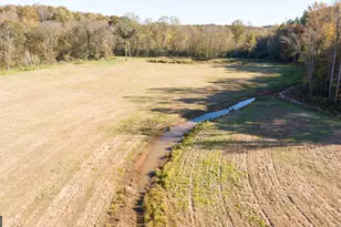 167 McCoy Bridge Rd, Homer, GA 30547 - Photo 63