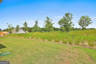 15 Club Cresswind Drive, Newnan, GA 30263 - Photo 37