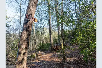 517 Ridge Road, Blue Ridge, GA 30513 - Photo 43