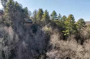 517 Ridge Rd, Blue Ridge, GA 30513 - Photo 35