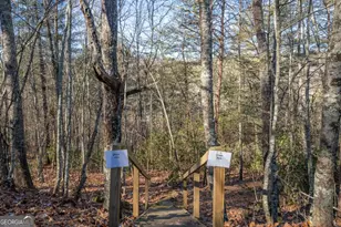 517 Ridge Rd, Blue Ridge, GA 30513 - Photo 49