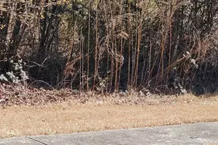 3447 Tiffany Cove Dr, Loganville, GA 30052 - Photo 1