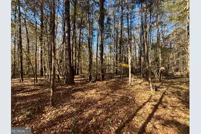 0 Oconee Rd Lot 7, Buckhead, GA 30625 - Photo 7