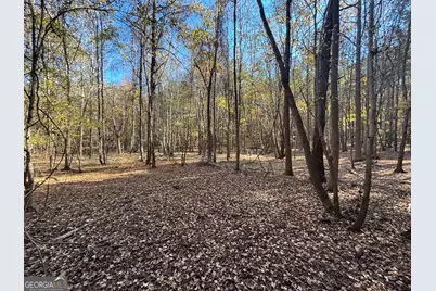 0 Heidi Trl Lot 10, Buckhead, GA 30625 - Photo 19
