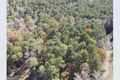 0 Heidi Trl Lot 10, Buckhead, GA 30625 - Photo 3