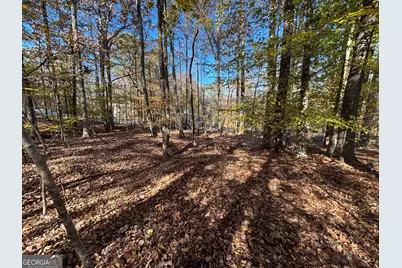 0 Heidi Trl Lot 10, Buckhead, GA 30625 - Photo 11