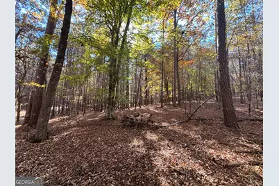 0 Heidi Trl Lot 10, Buckhead, GA 30625 - Photo 13