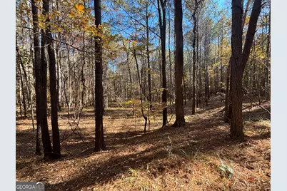 0 Heidi Trl Lot 10, Buckhead, GA 30625 - Photo 15