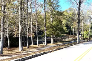 136 Forest Ave, Elberton, GA 30635 - Photo 37