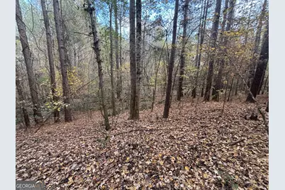 0 Oconee Rd Lot 4, Buckhead, GA 30625 - Photo 9