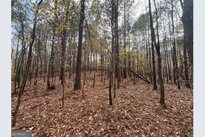 0 Oconee Rd Lot 4, Buckhead, GA 30625 - Photo 13