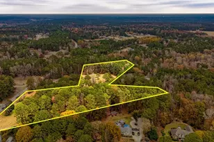 7483 Hwy 54, Sharpsburg, GA 30277 - Photo 5