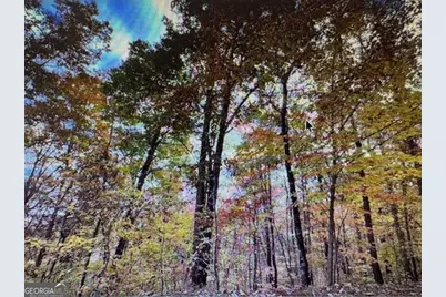 6 Morgan Creek Lot 6 #6, Young Harris, GA 30582 - Photo 1