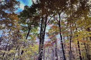 6 Morgan Creek Lot 6, Young Harris, GA 30582 - Photo 1