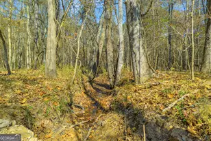 23824 Ga Hwy 22, Sparta, GA 31087 - Photo 87