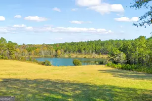 23824 Ga Hwy 22, Sparta, GA 31087 - Photo 83