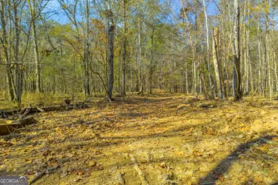 23824 Ga Highway 22, Sparta, GA 31087 - Photo 89