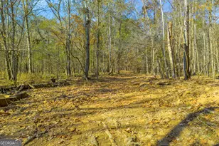 23824 Ga Hwy 22, Sparta, GA 31087 - Photo 89