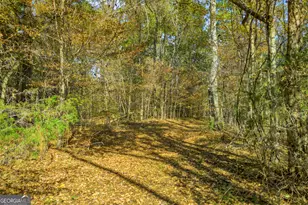 23824 Ga Hwy 22, Sparta, GA 31087 - Photo 81