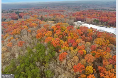0 Hogan Pond Road, Ball Ground, GA 30107 - Photo 3