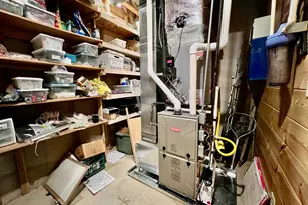 156 Peter Knob Rd, Blue Ridge, GA 30513 - Photo 21