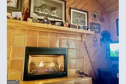 156 Peter Knob Road, Blue Ridge, GA 30513 - Photo 5