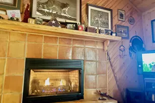 156 Peter Knob Rd, Blue Ridge, GA 30513 - Photo 5