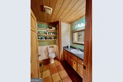 156 Peter Knob Road, Blue Ridge, GA 30513 - Photo 13