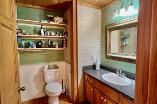 156 Peter Knob Rd, Blue Ridge, GA 30513 - Photo 13