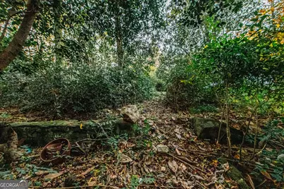 6368 Old Forsyth Road, Macon, GA 31210 - Photo 63