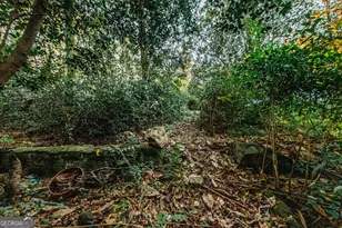 6368 Old Forsyth Rd, Macon, GA 31210 - Photo 63