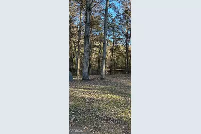 5962 Ga. Hwy. 109, Molena, GA 30258 - Photo 5