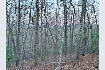 2372 Humphrey Mill Road, Mineral Bluff, GA 30559 - Photo 15