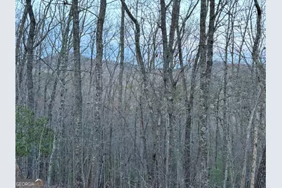 2372 Humphrey Mill Road, Mineral Bluff, GA 30559 - Photo 9