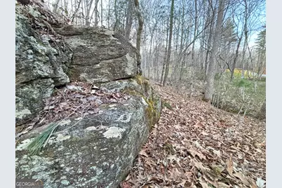 2372 Humphrey Mill Road, Mineral Bluff, GA 30559 - Photo 13