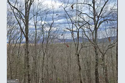 2372 Humphrey Mill Road, Mineral Bluff, GA 30559 - Photo 5