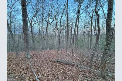 2372 Humphrey Mill Road, Mineral Bluff, GA 30559 - Photo 19