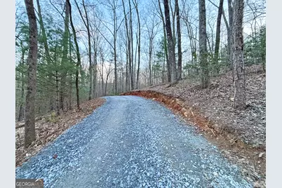 2372 Humphrey Mill Road, Mineral Bluff, GA 30559 - Photo 11