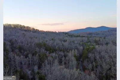 2372 Humphrey Mill Road, Mineral Bluff, GA 30559 - Photo 39