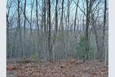 2372 Humphrey Mill Road, Mineral Bluff, GA 30559 - Photo 21